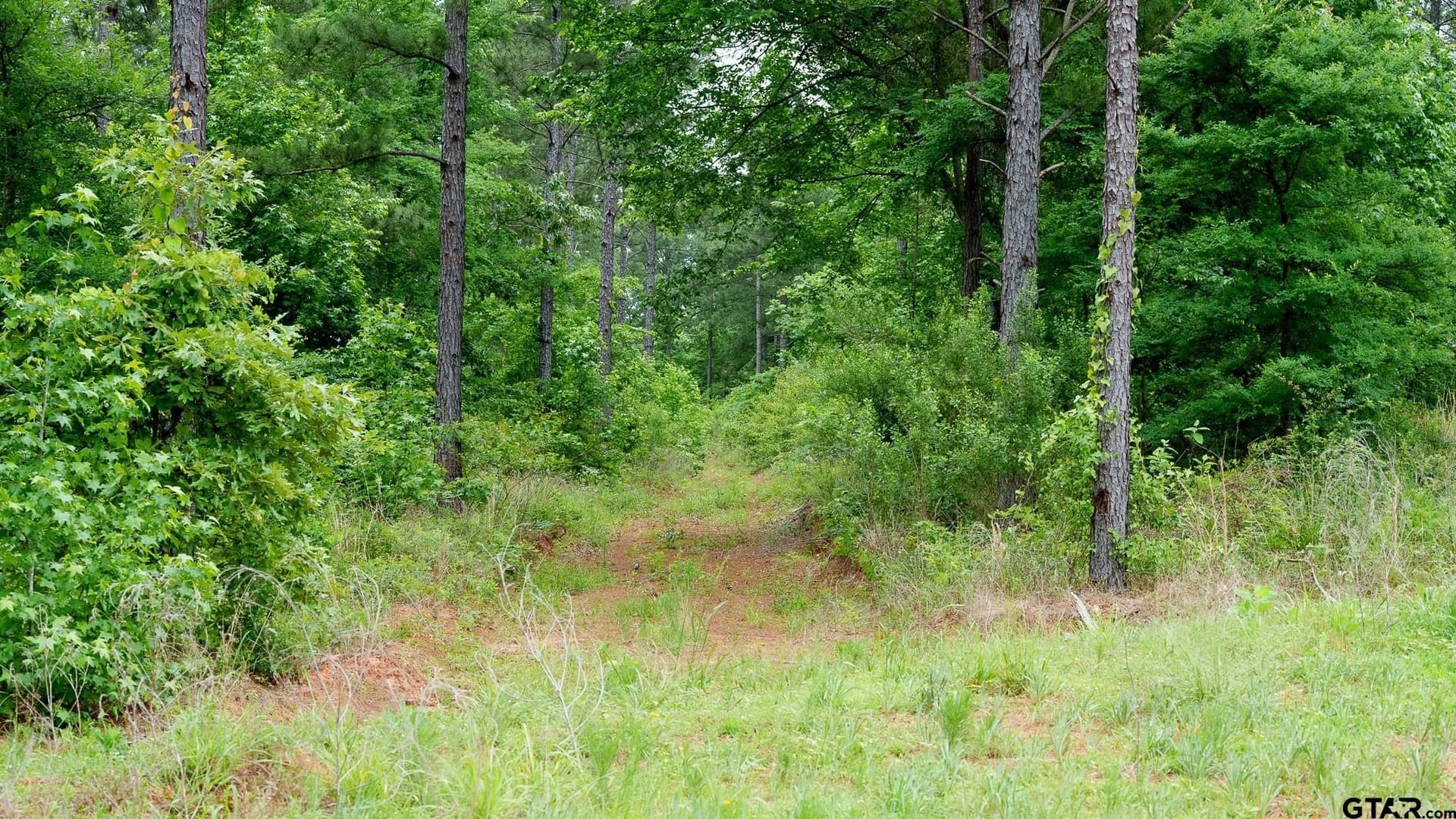 699.2 acres in Van Zandt County - photo 7