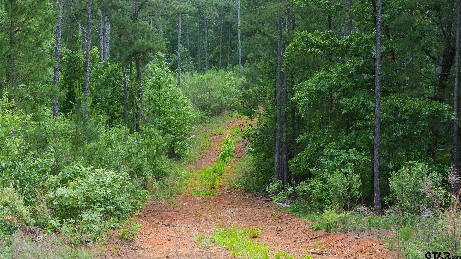 699.2 acres in Van Zandt County - photo 17