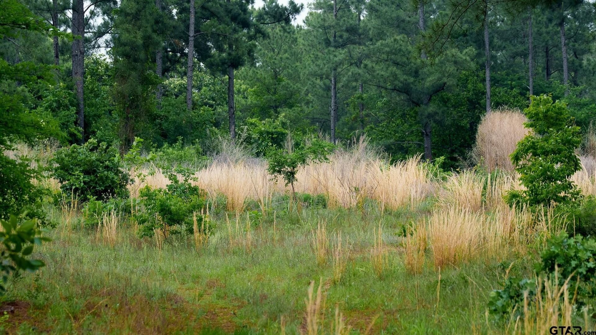699.2 acres in Van Zandt County - photo 24
