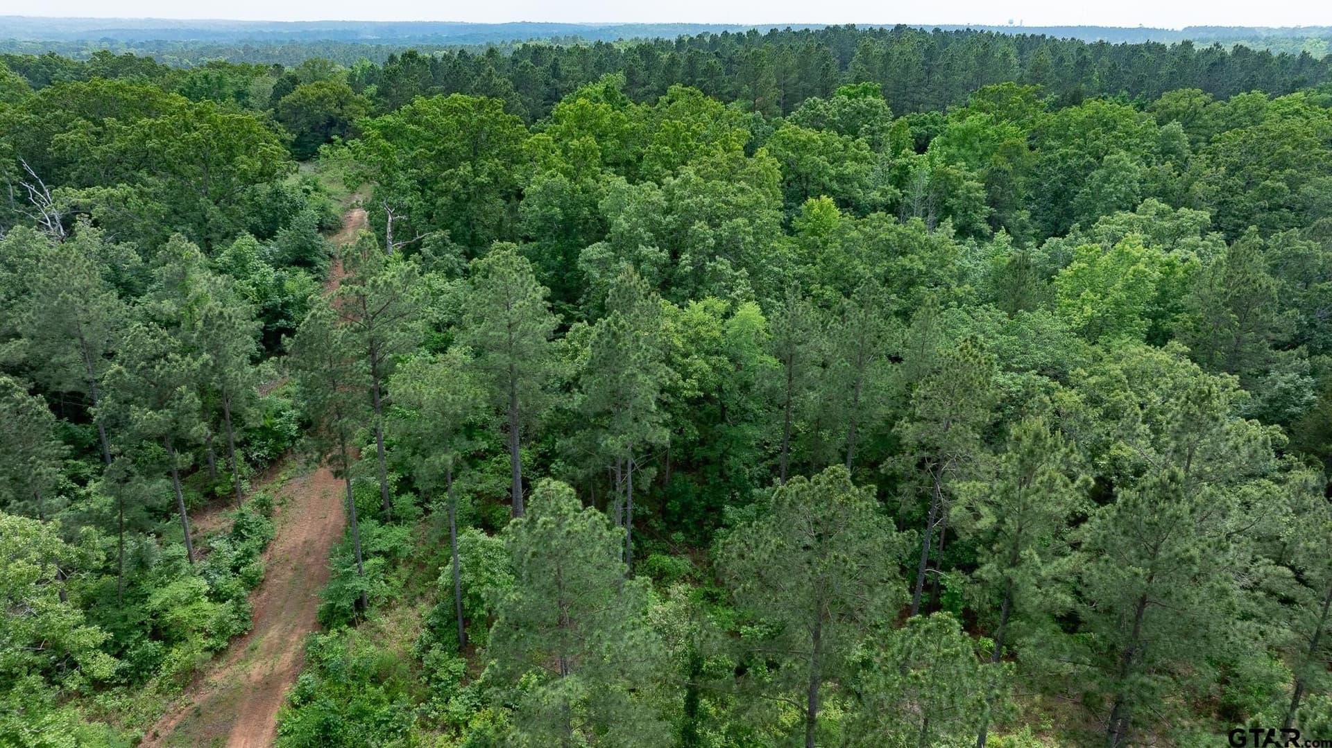 699.2 acres in Van Zandt County - photo 19