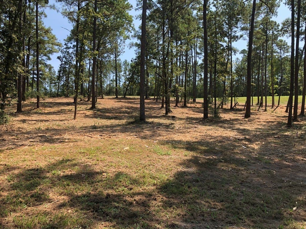 1.98 acres in Texas County - photo 10
