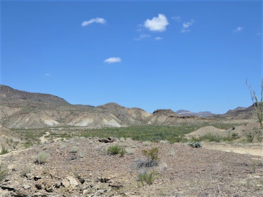 40 acres in Brewster County - photo 6