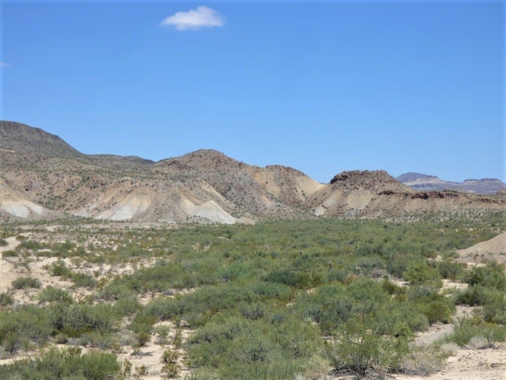40 acres in Brewster County - photo 8
