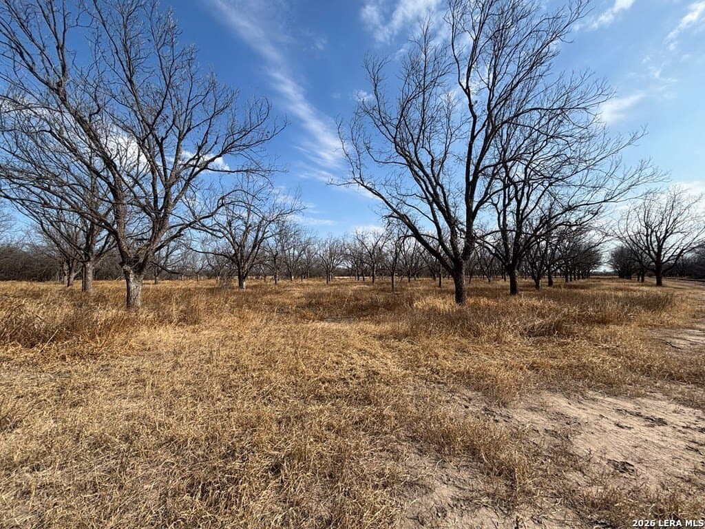 5 acres in Maverick County gallery image 3