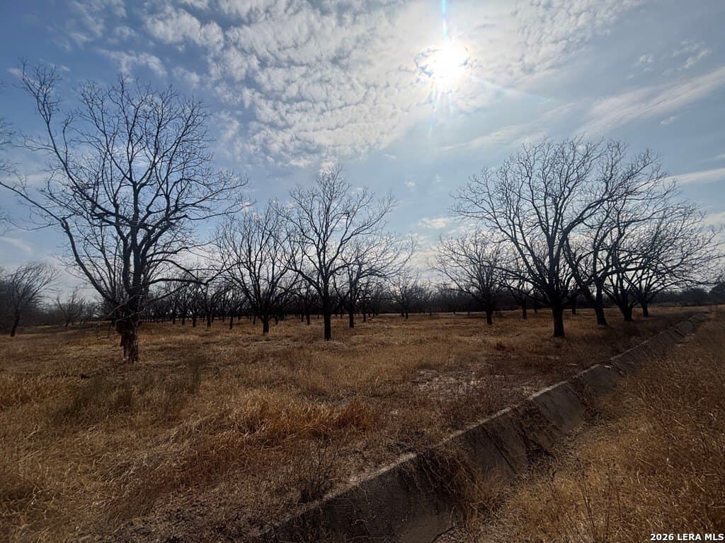 5 acres in Maverick County gallery image 2
