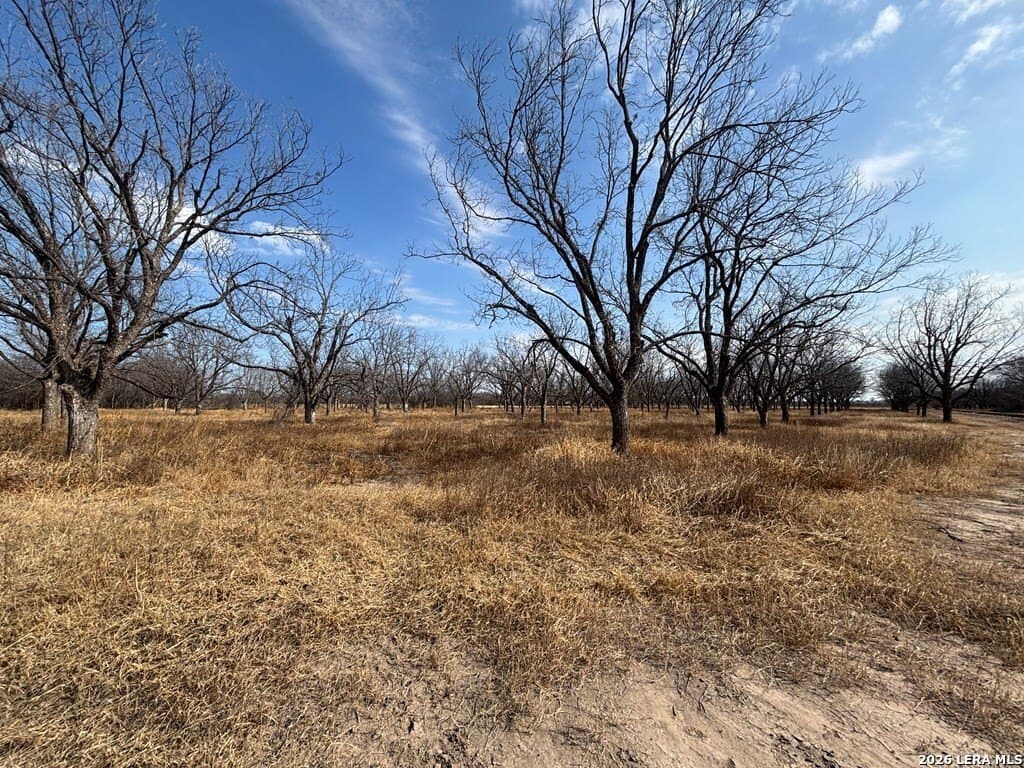 5 acres in Maverick County gallery image 4