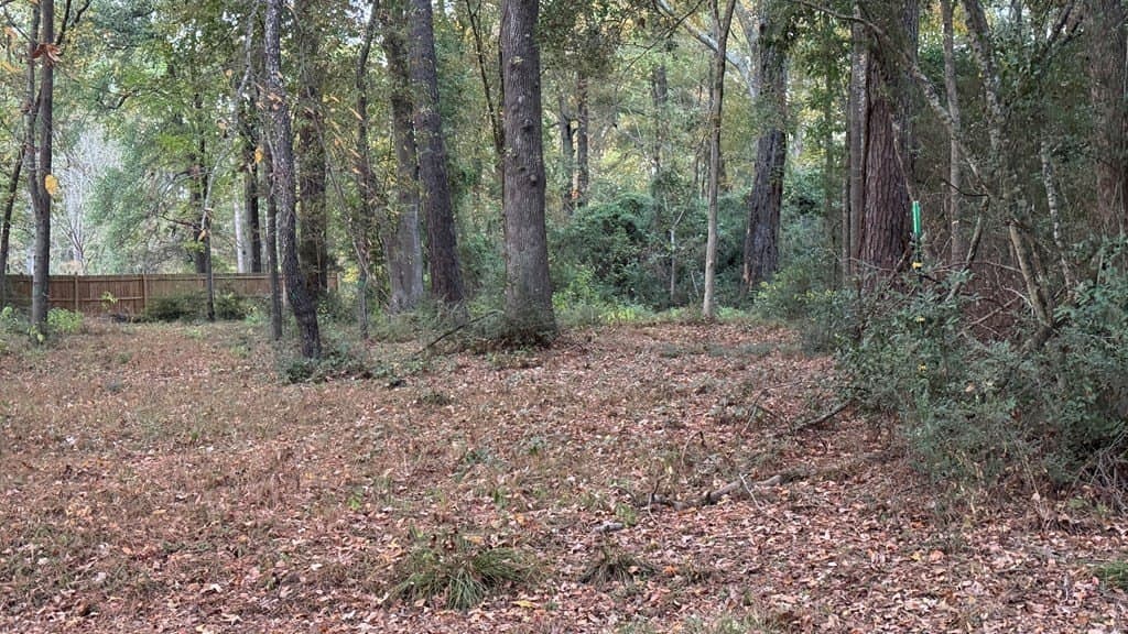 0.62 acres in Texas County gallery image 3