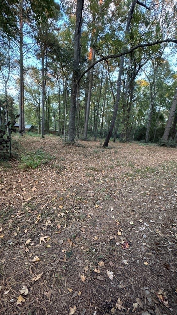 0.62 acres in Texas County featured view