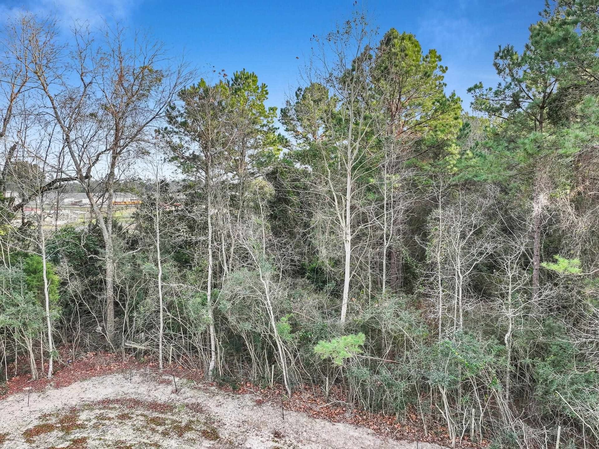 16.38 acres in Texas County - photo 28
