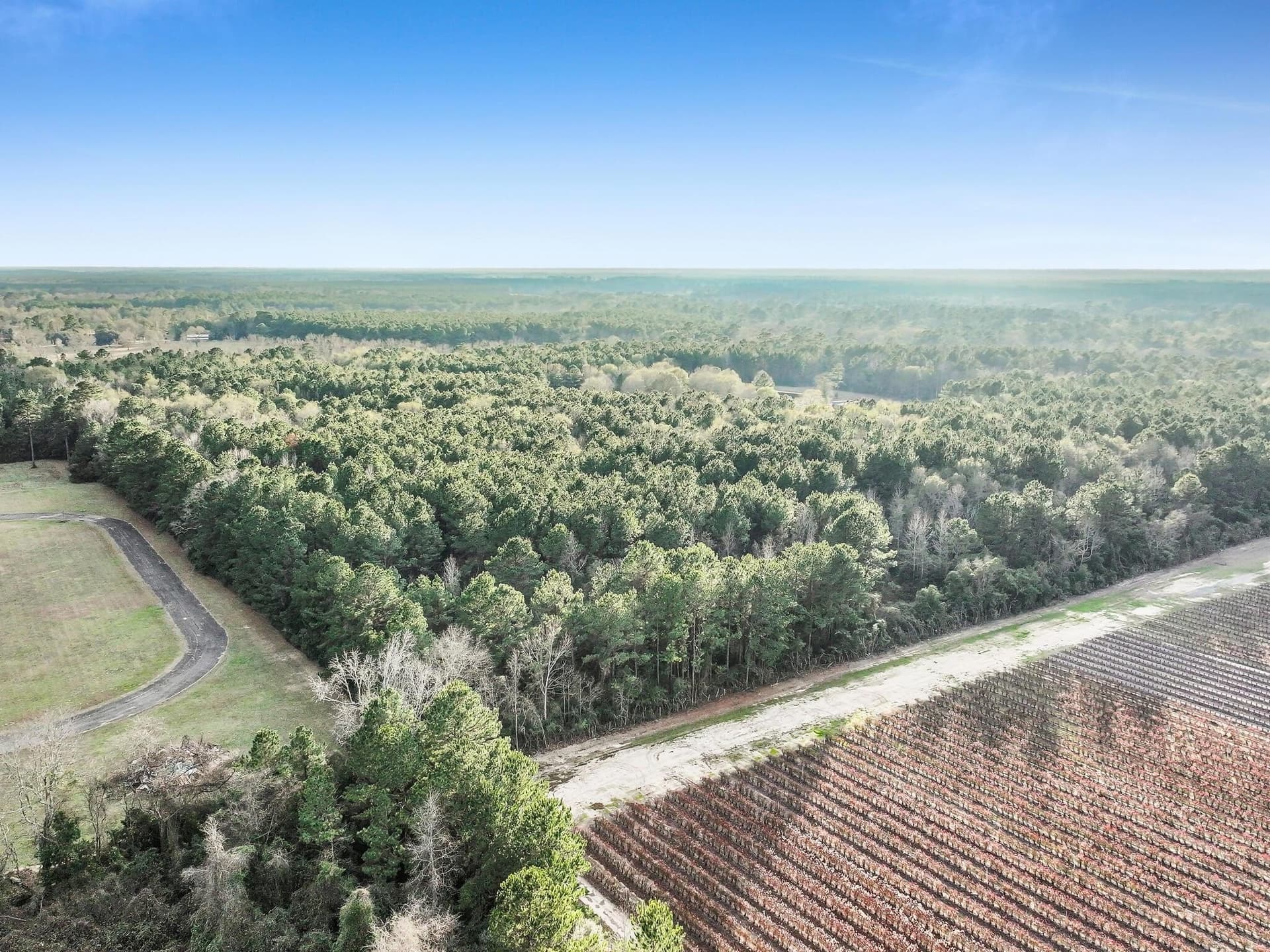 16.38 acres in Texas County - photo 26