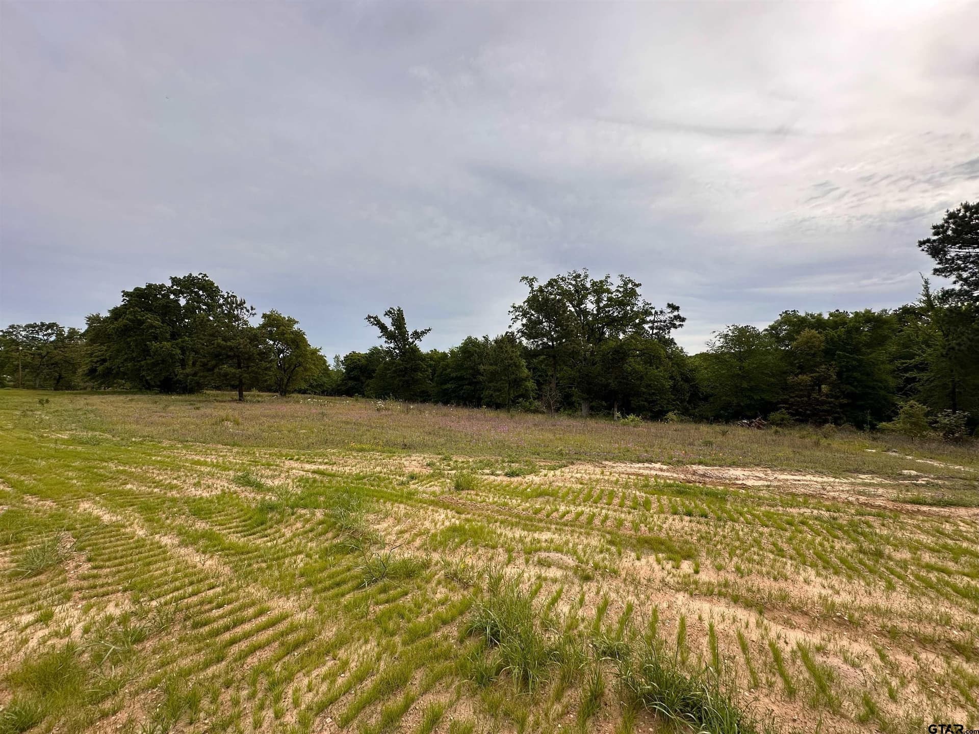 0.59 acres in Smith County gallery image 2