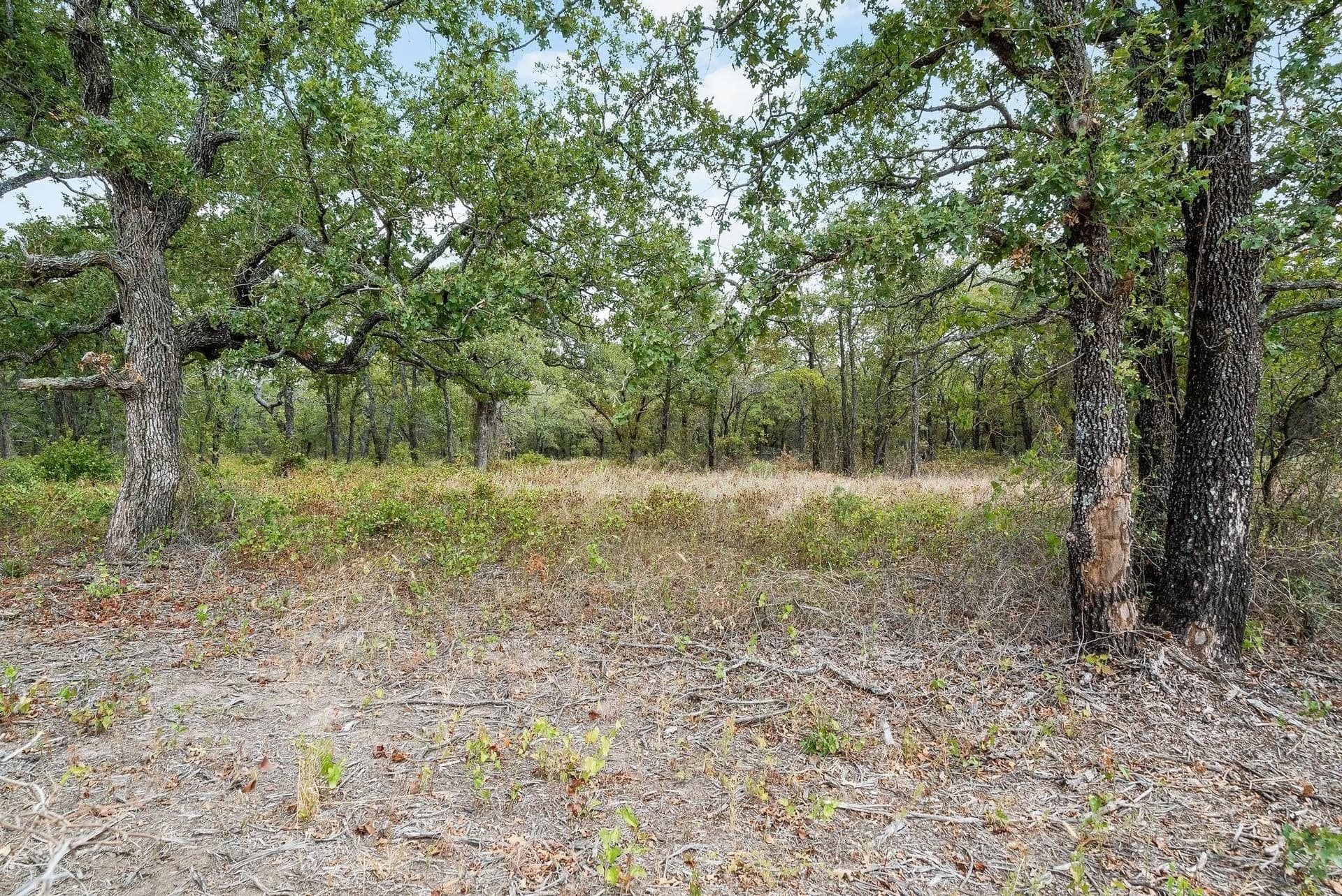 15 acres in Jack County - photo 6