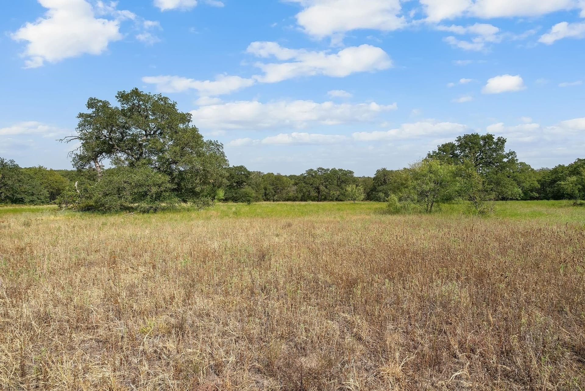 15 acres in Jack County - photo 10