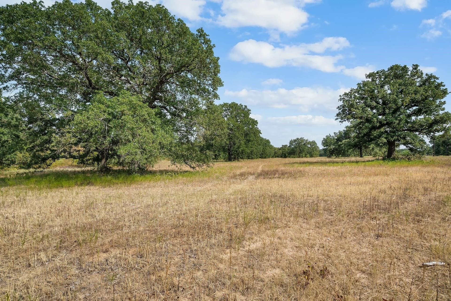 15 acres in Jack County - photo 17