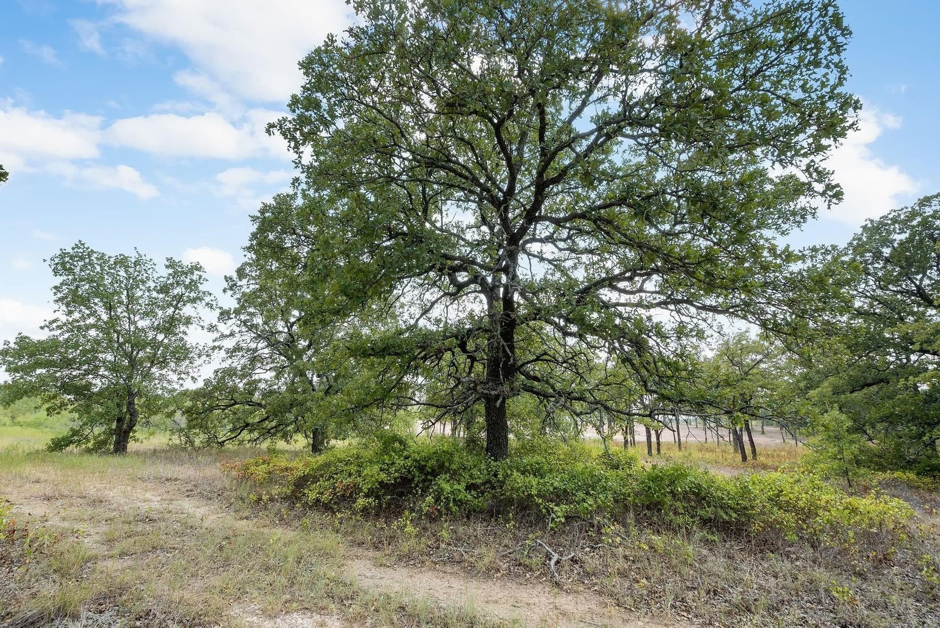 15 acres in Jack County - photo 12
