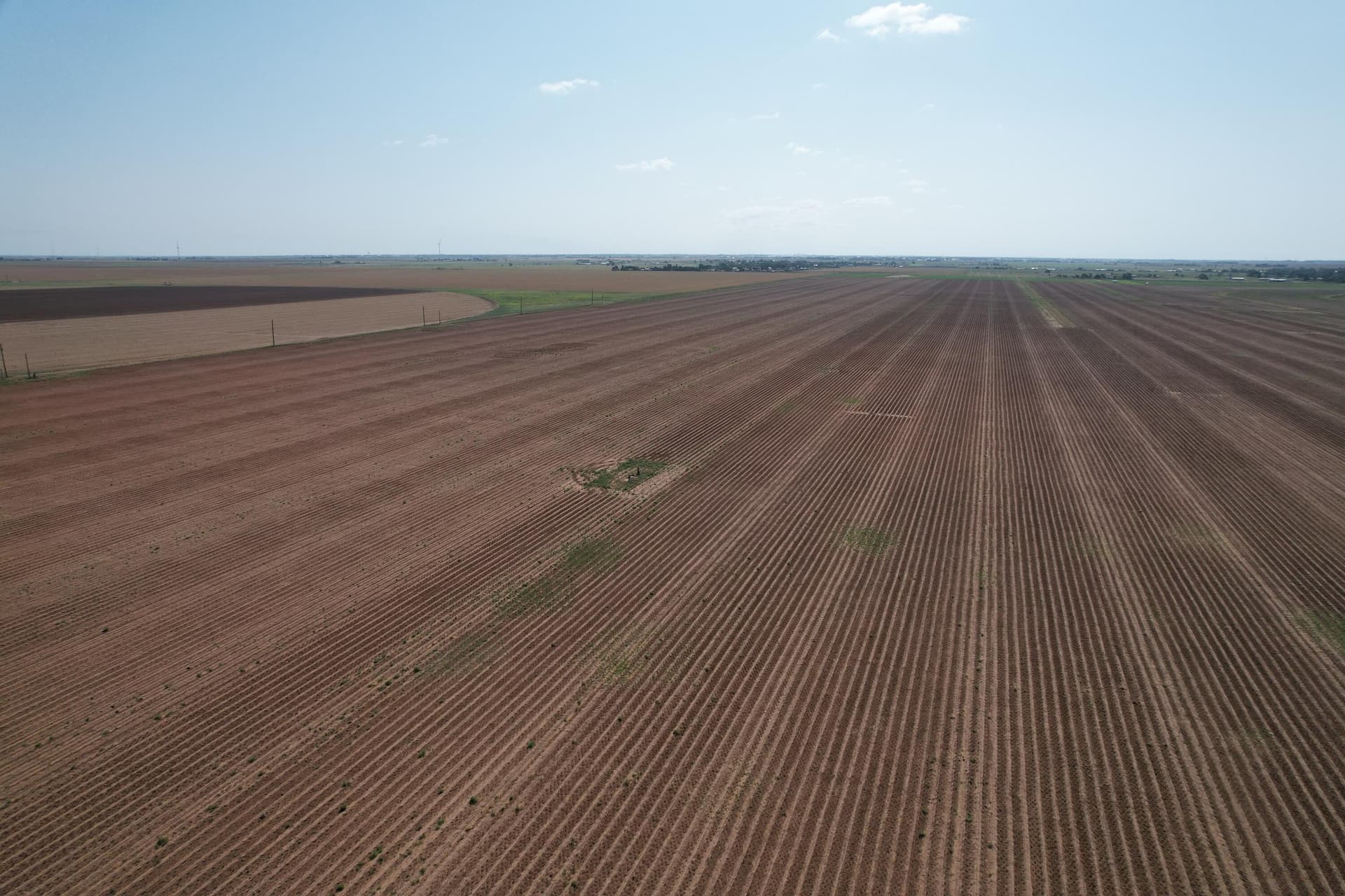 10 acres in Hockley County gallery image 2