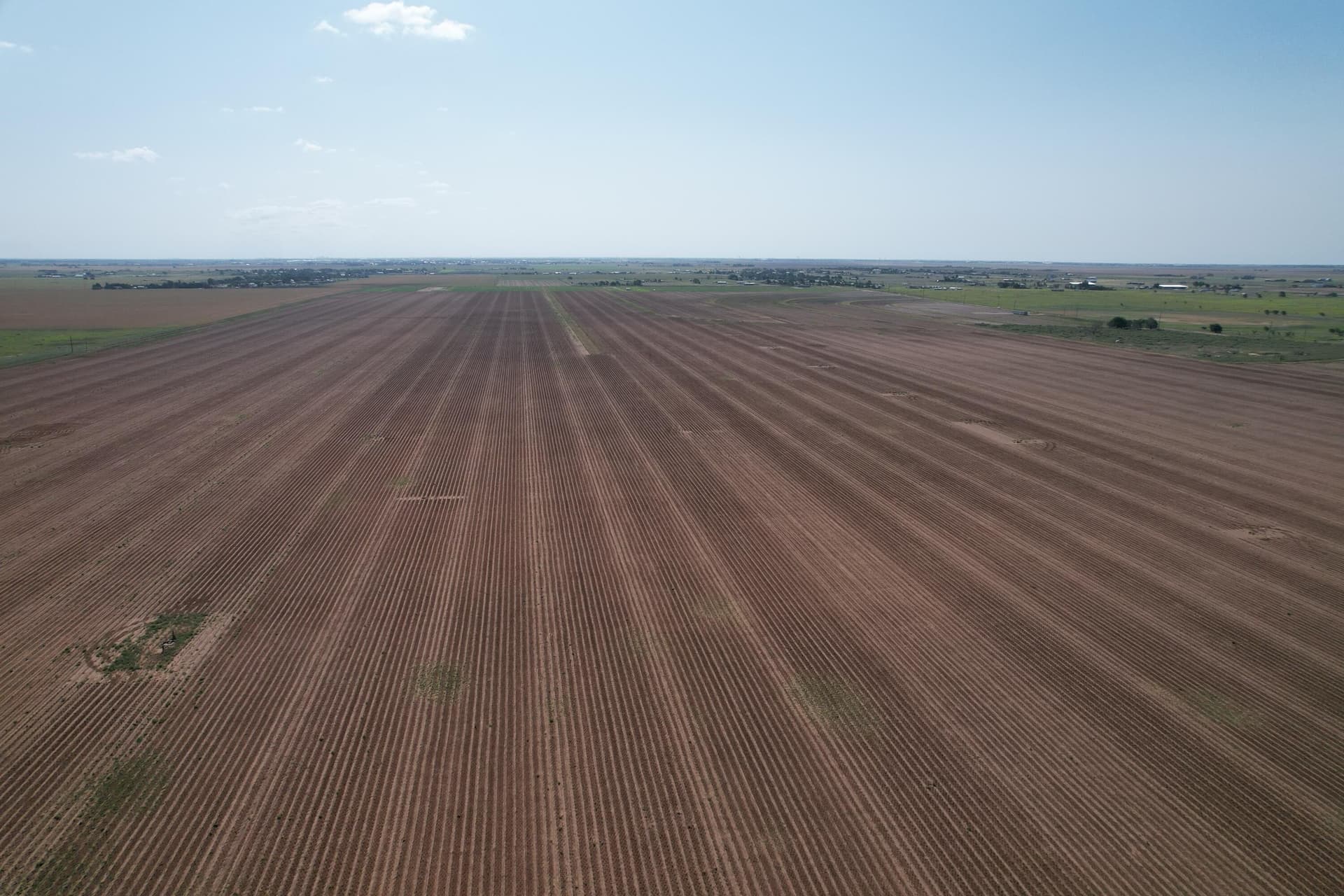 10 acres in Hockley County gallery image 3