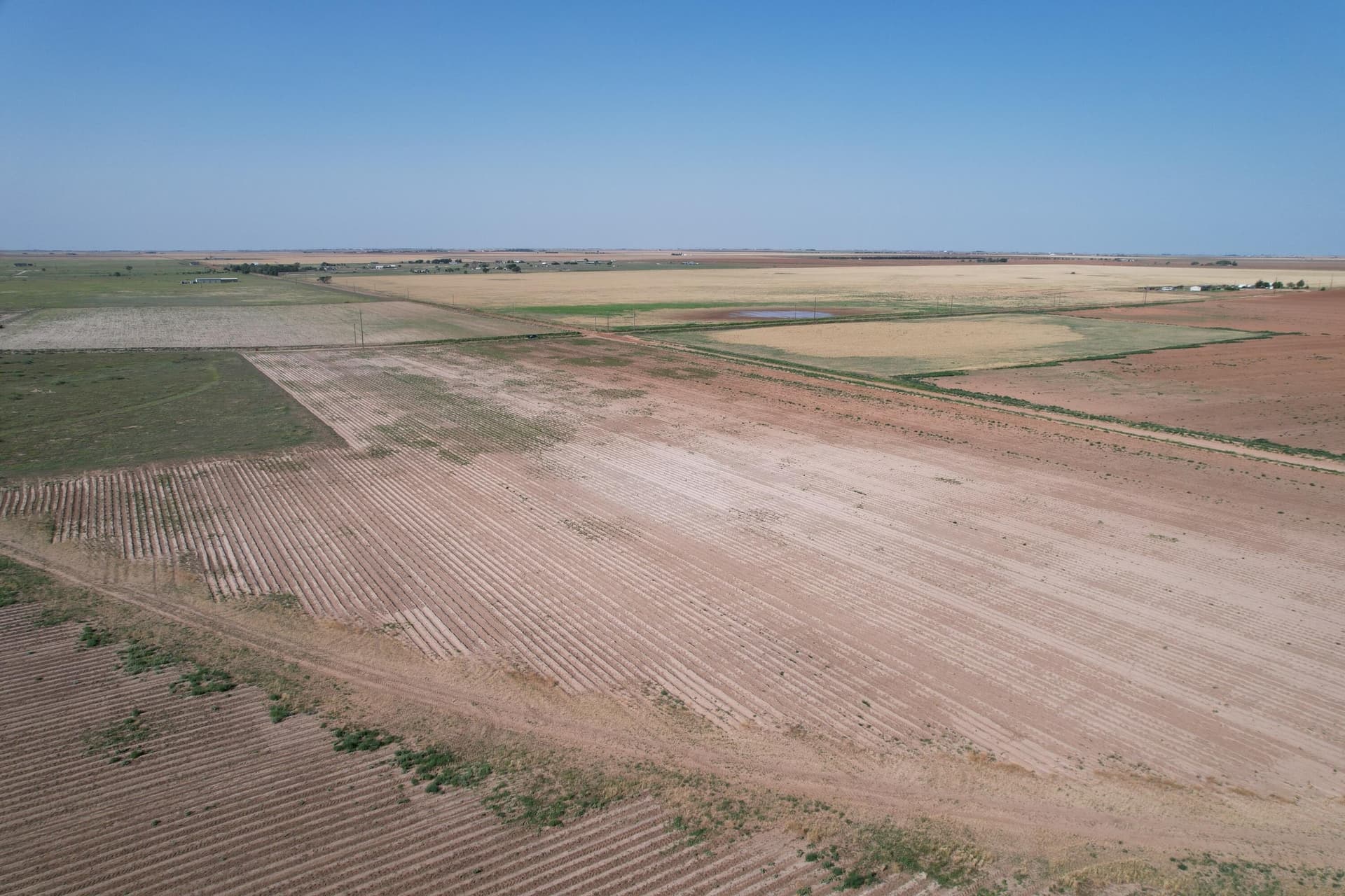 10 acres in Hockley County gallery image 4