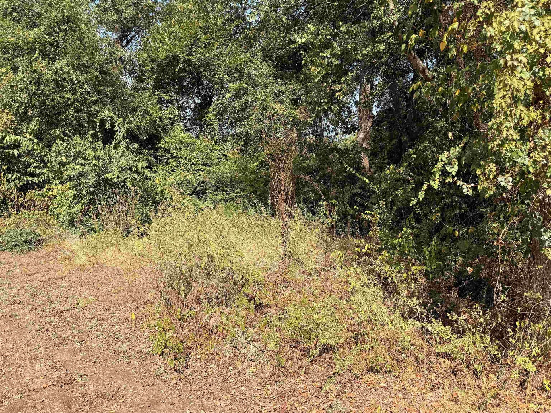 0.33 acres in Texas County - photo 2