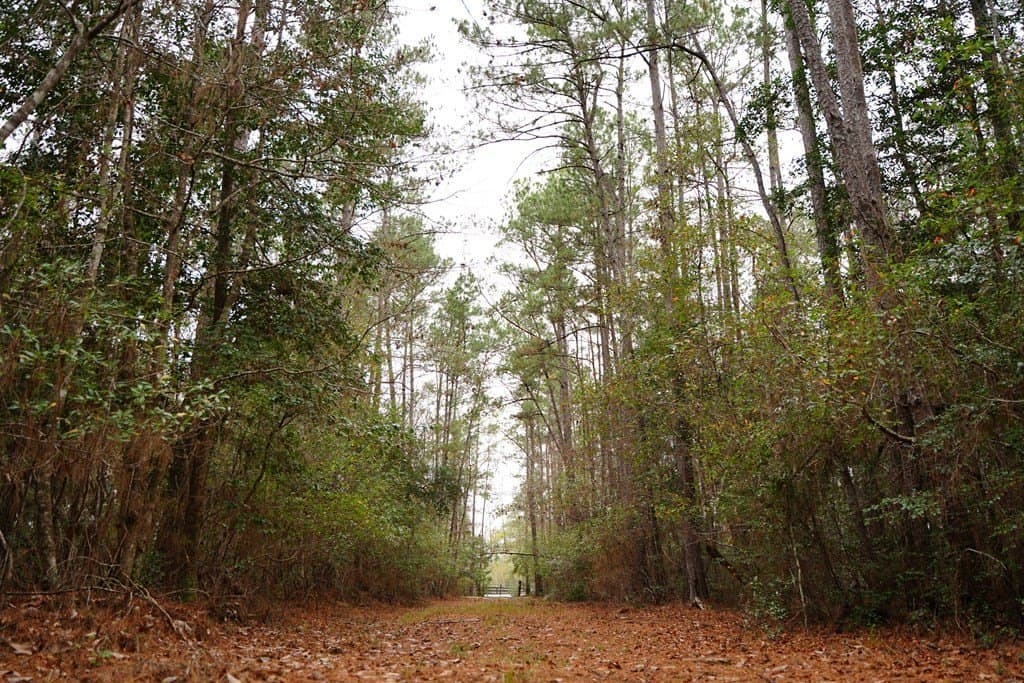 89 acres in Texas County - photo 25