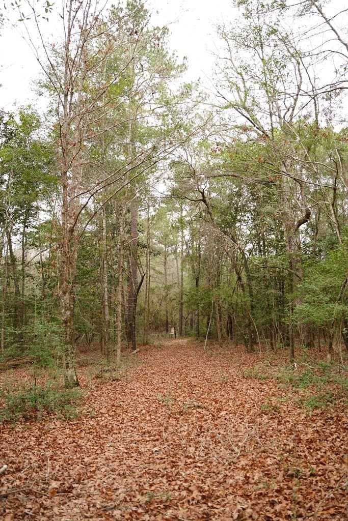 89 acres in Texas County - photo 18