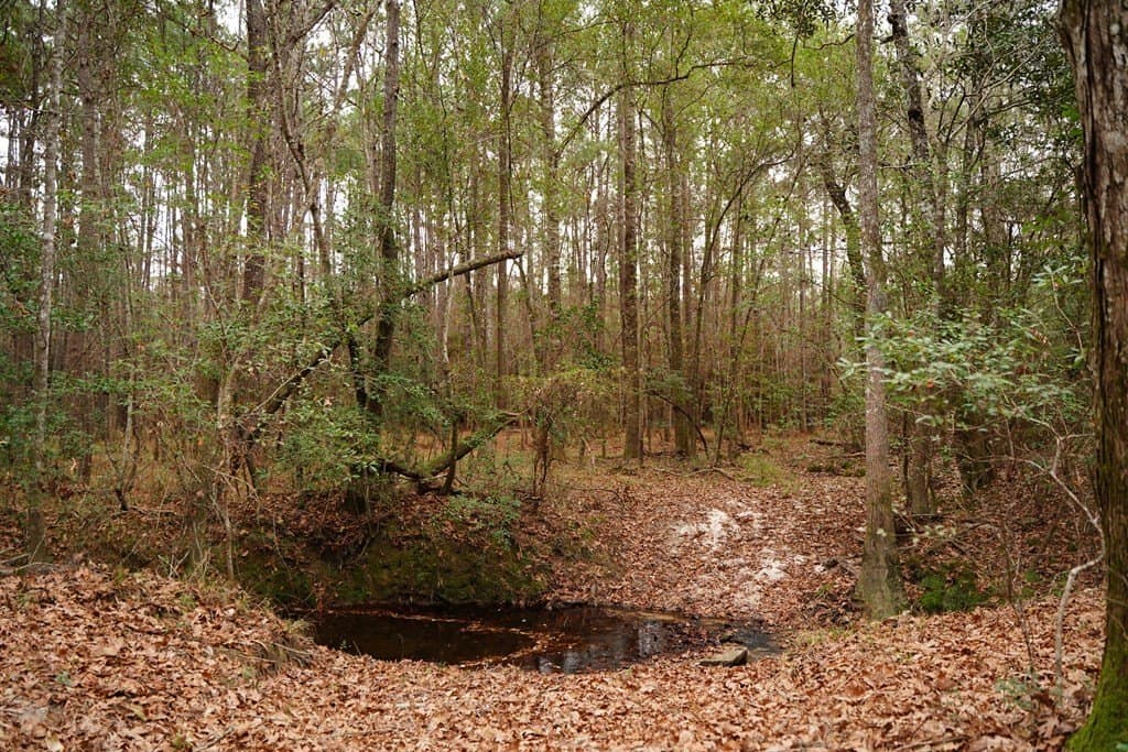 89 acres in Texas County - photo 11