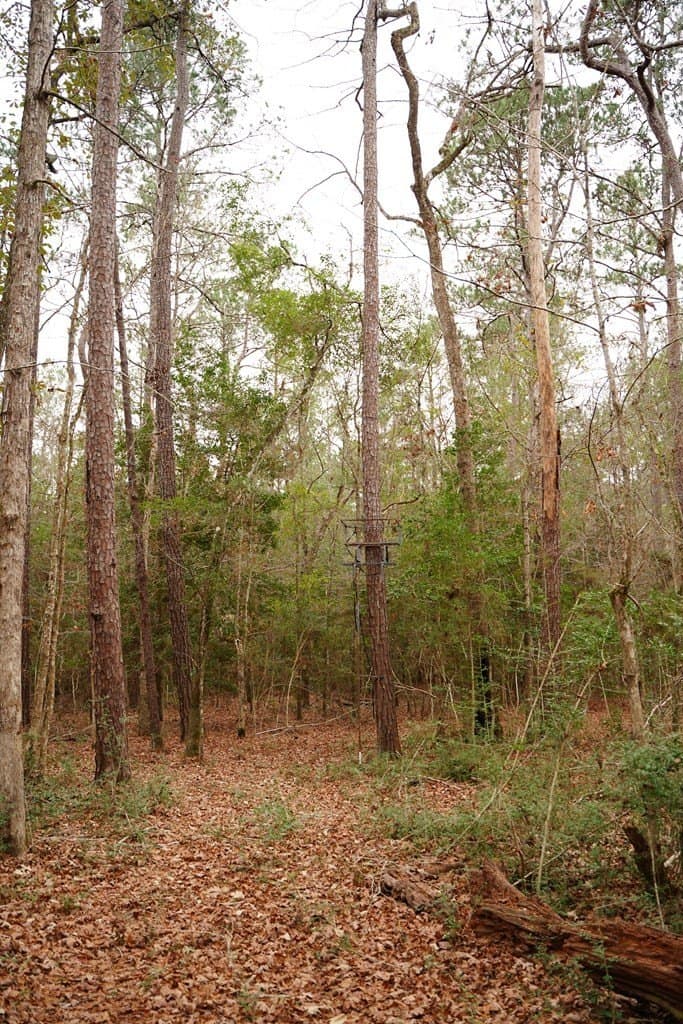 89 acres in Texas County - photo 20