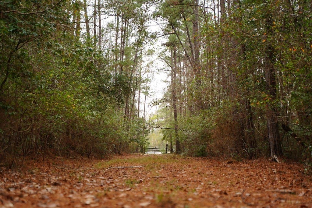 89 acres in Texas County - photo 15