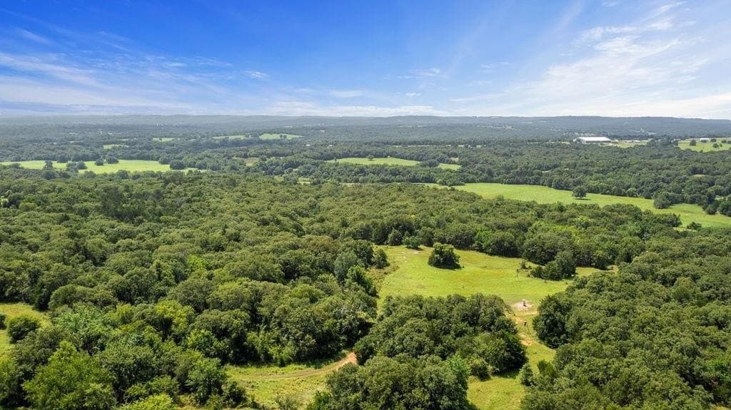 100.76 acres in Montague County gallery image 3