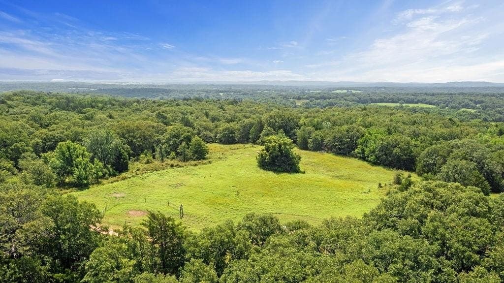 100.76 acres in Montague County gallery image 2