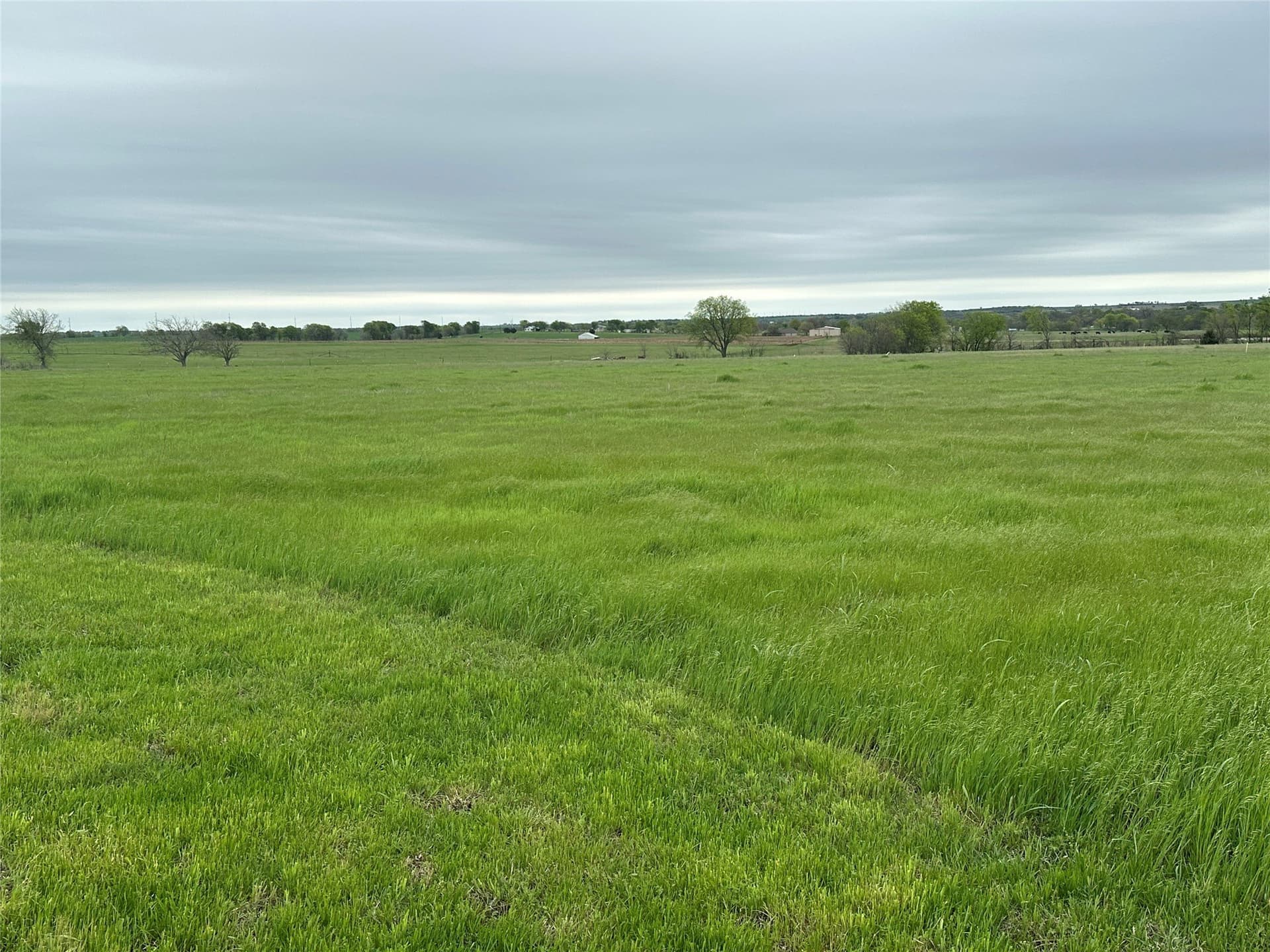 2 acres in Cooke County - photo 11