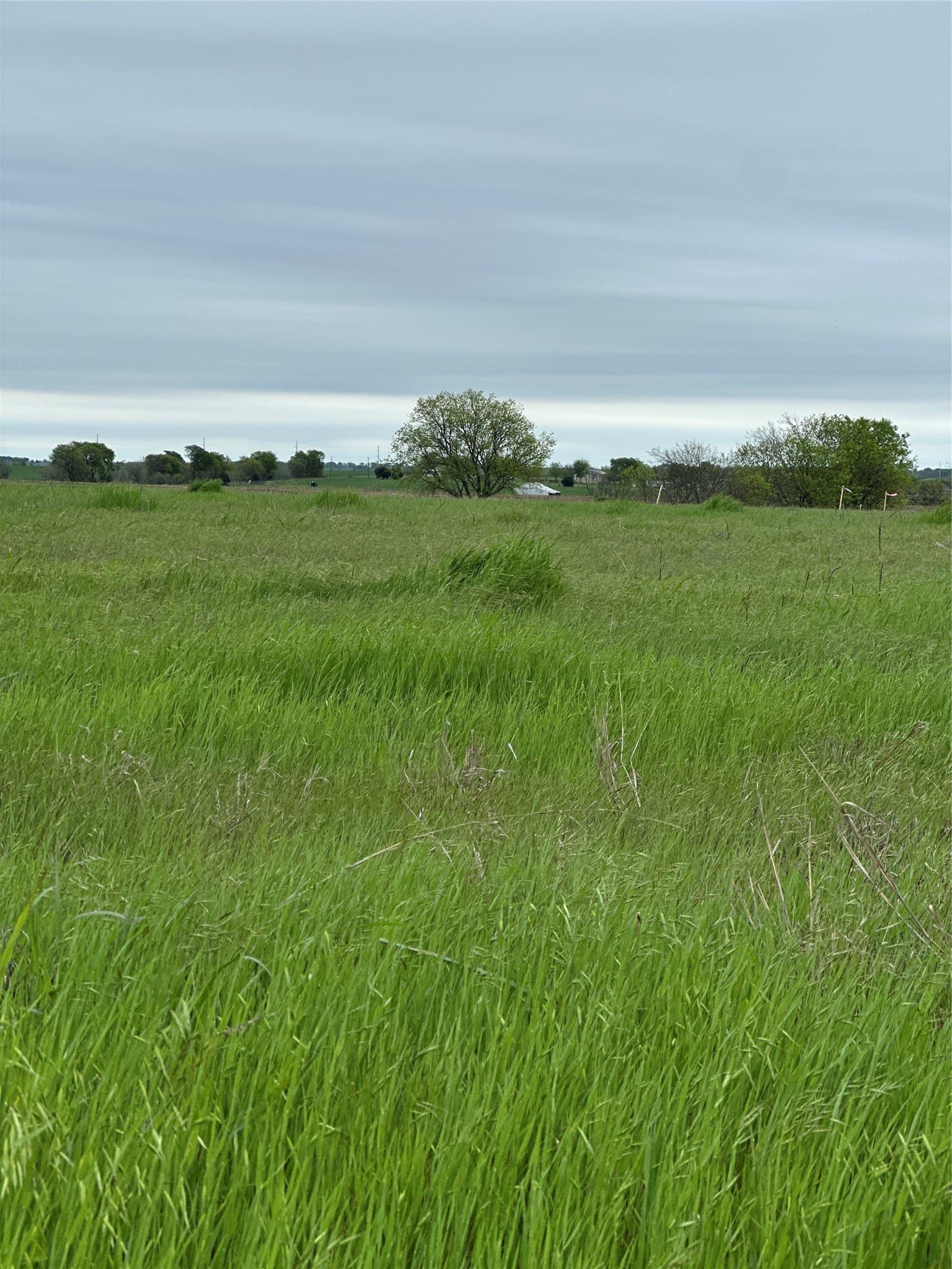 2 acres in Cooke County - photo 10