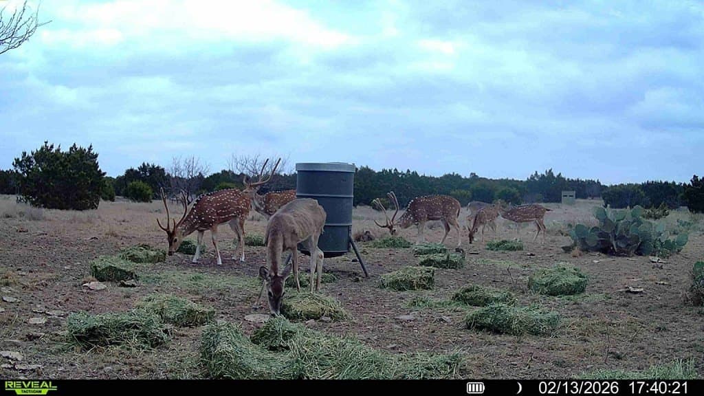 65 acres in Sutton County - photo 10