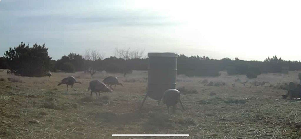 65 acres in Sutton County - photo 11