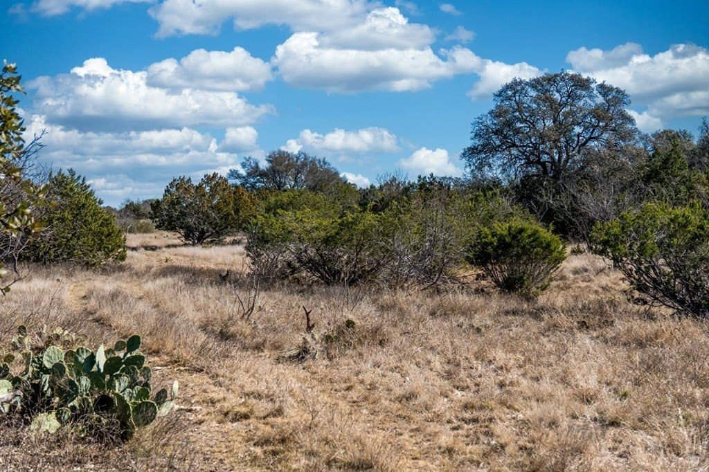 65 acres in Sutton County featured view