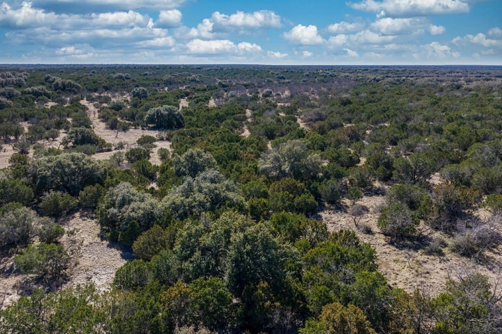 65 acres in Sutton County - photo 6
