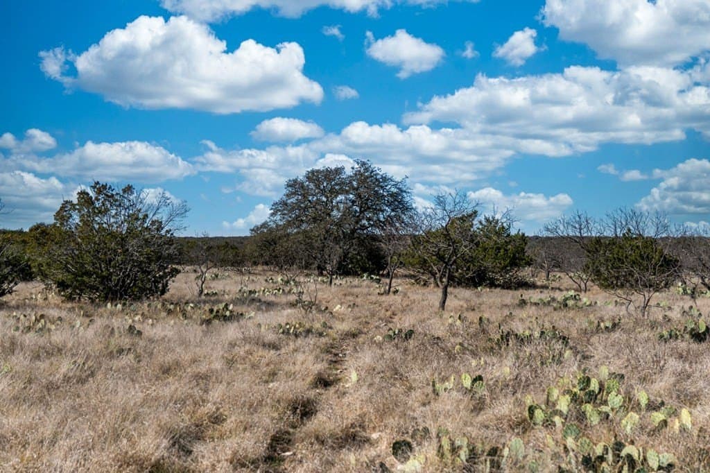 65 acres in Sutton County gallery image 4
