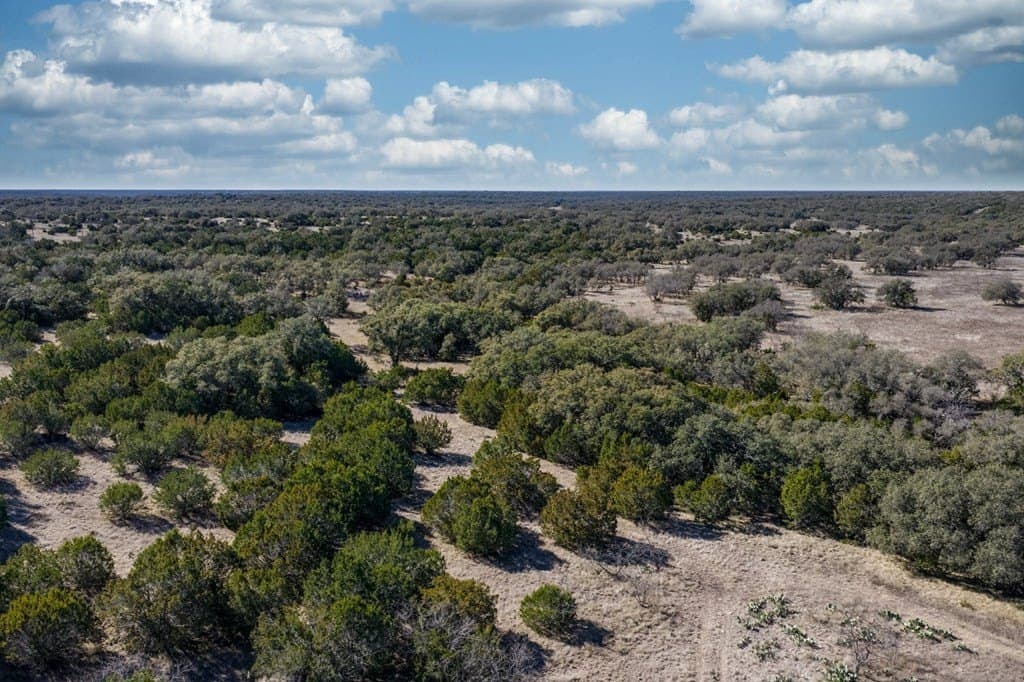 65 acres in Sutton County - photo 7