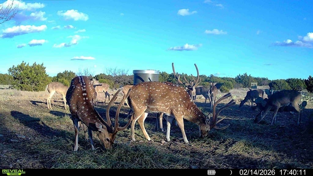 65 acres in Sutton County - photo 9
