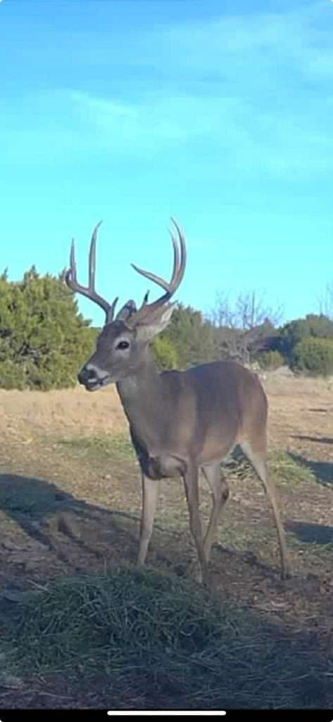 65 acres in Sutton County - photo 12
