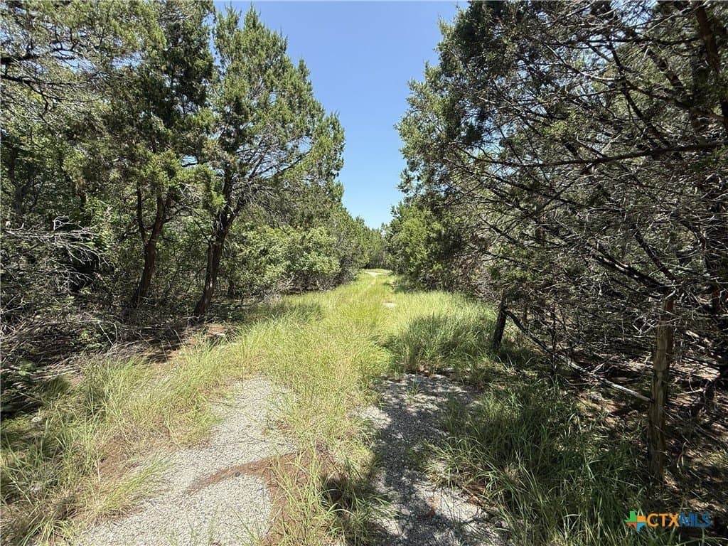 4.03 acres in Bell County - photo 9