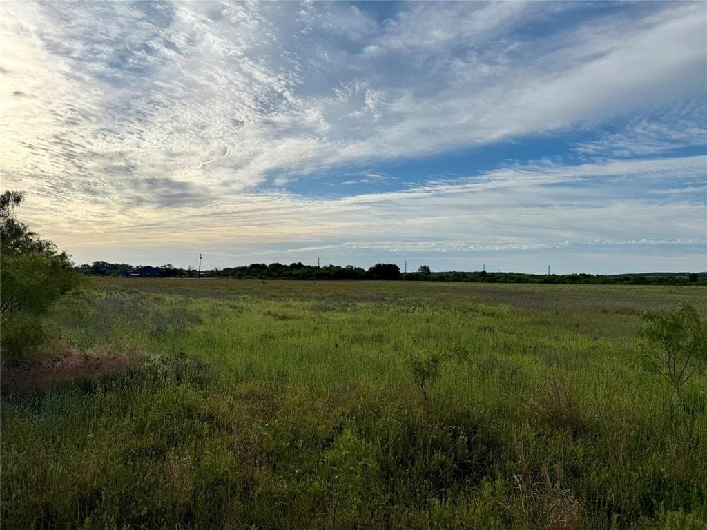 8 acres in Callahan County gallery image 4