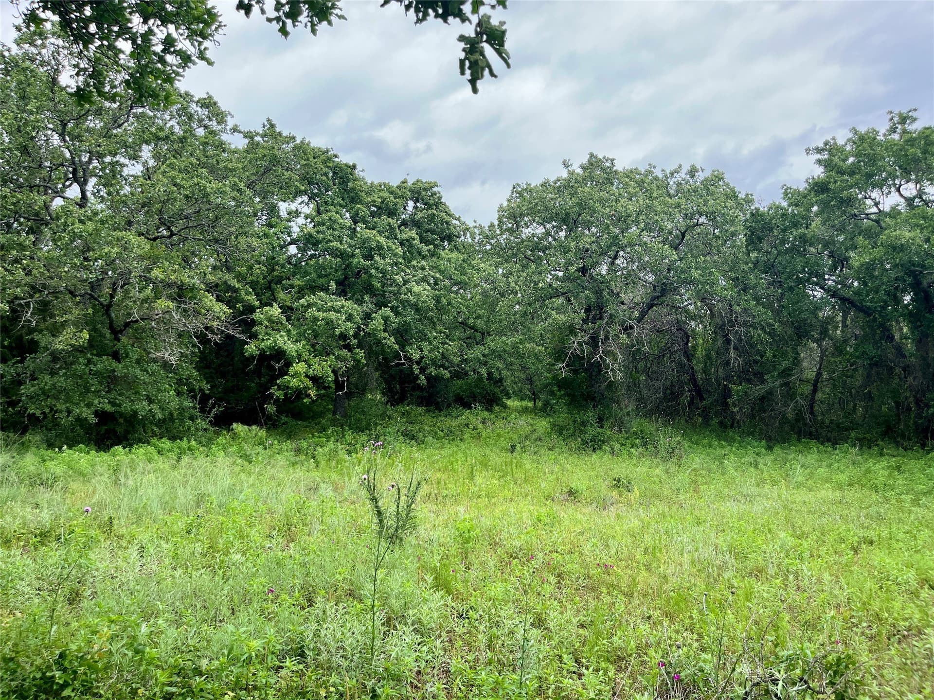 2 acres in Parker County - photo 3