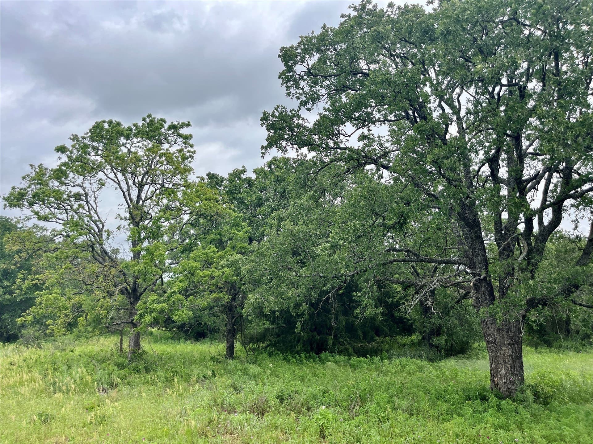 2 acres in Parker County - photo 2