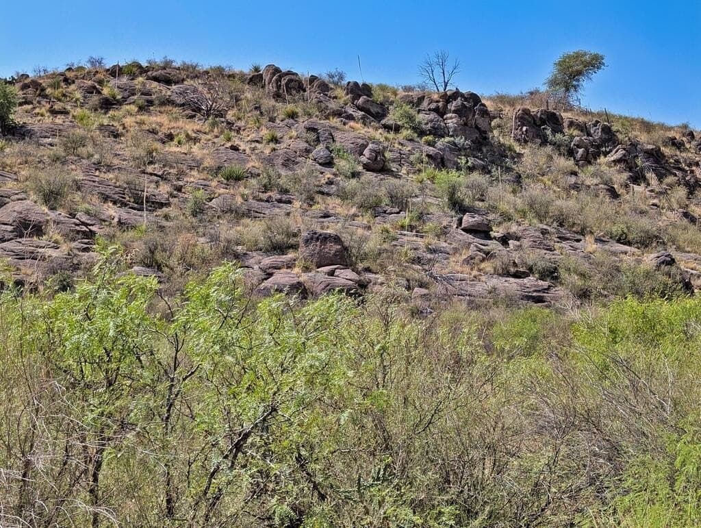 0.41 acres in Jeff Davis County - photo 2