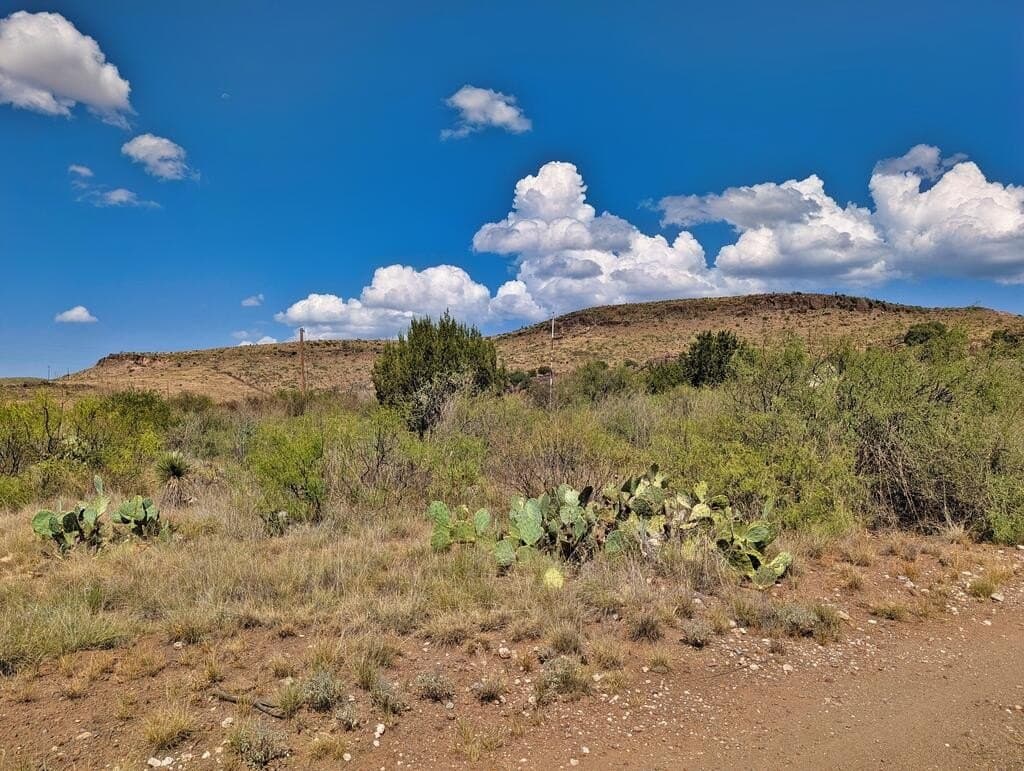 0.41 acres in Jeff Davis County - photo 7