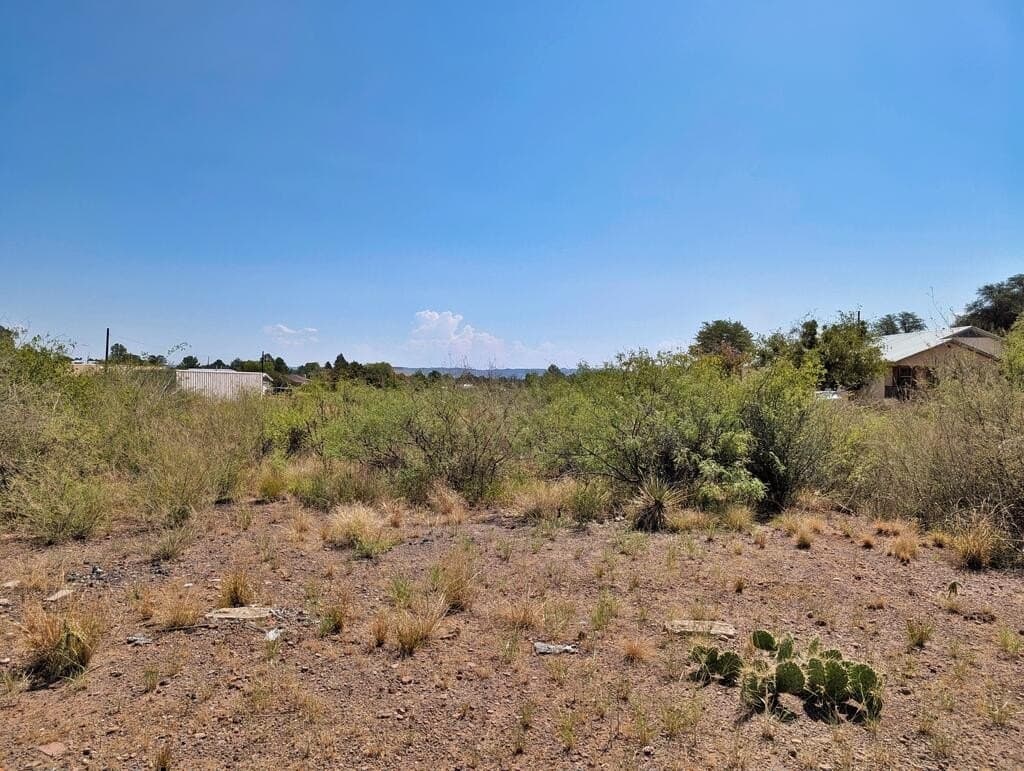 0.41 acres in Jeff Davis County - photo 12