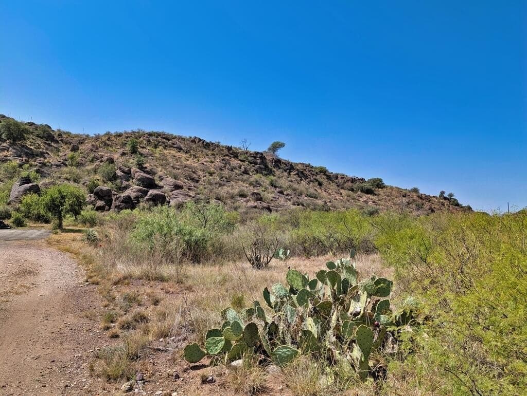 0.41 acres in Jeff Davis County - photo 3