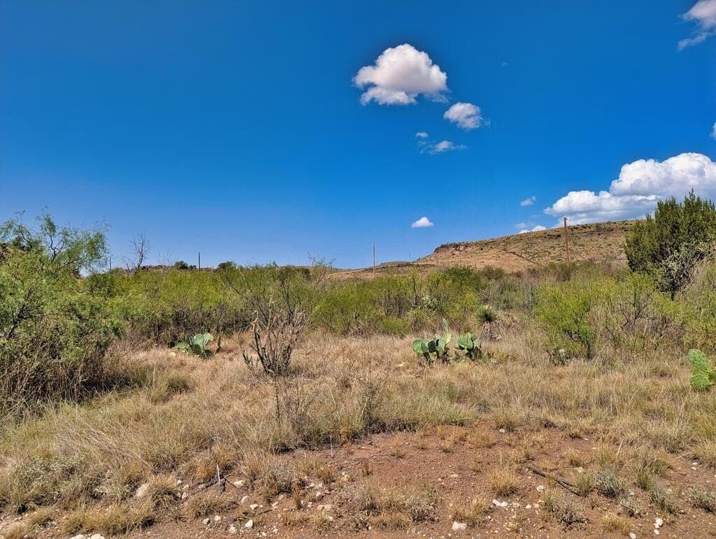 0.41 acres in Jeff Davis County - photo 5