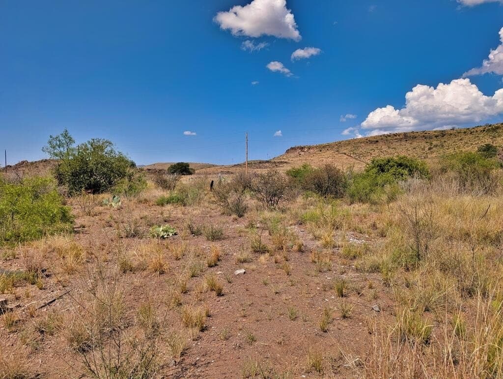 0.41 acres in Jeff Davis County - photo 11
